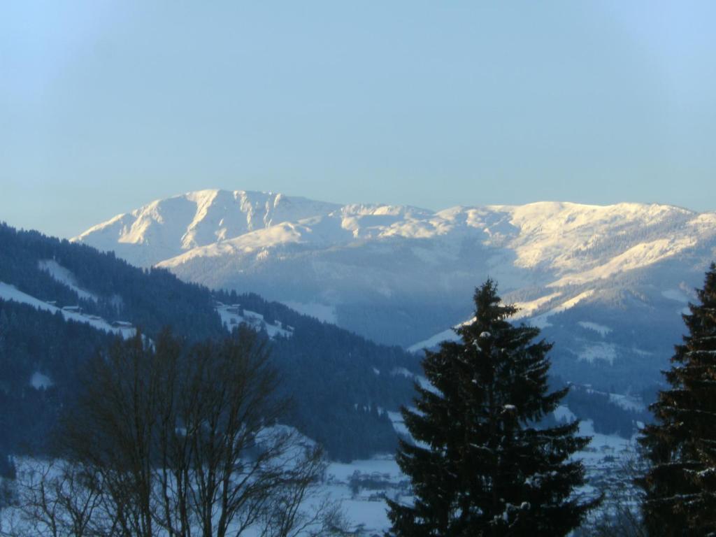 Vila Bauernhof Hundbichl Brixen im Thale Exteriér fotografie