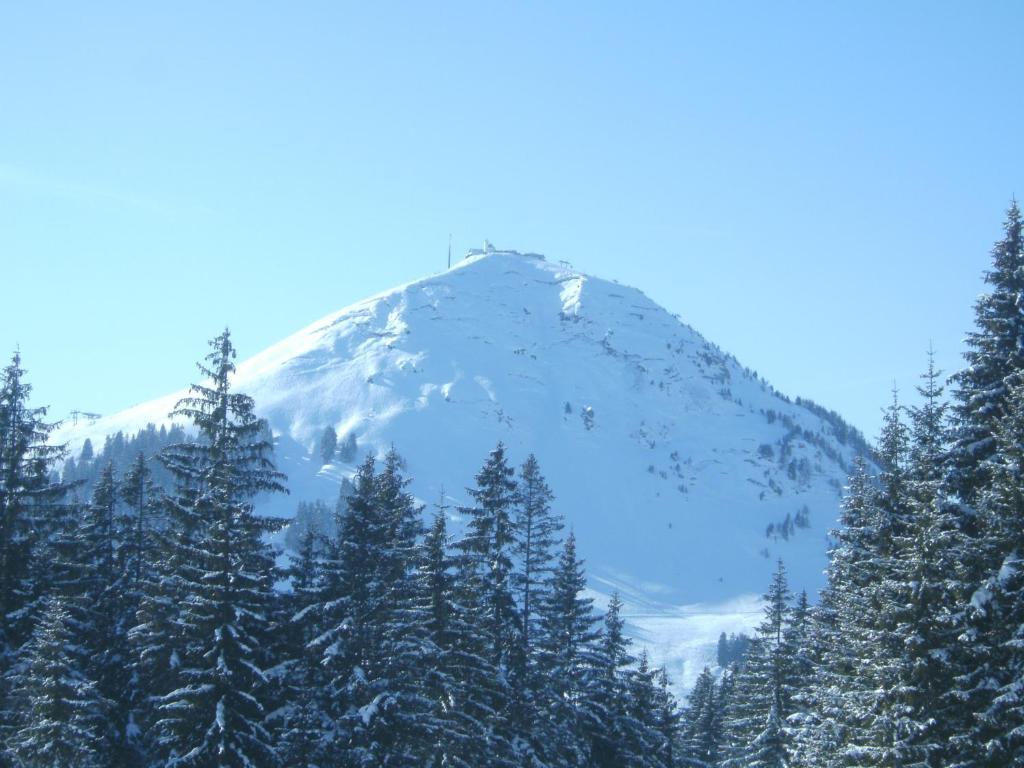 Vila Bauernhof Hundbichl Brixen im Thale Exteriér fotografie